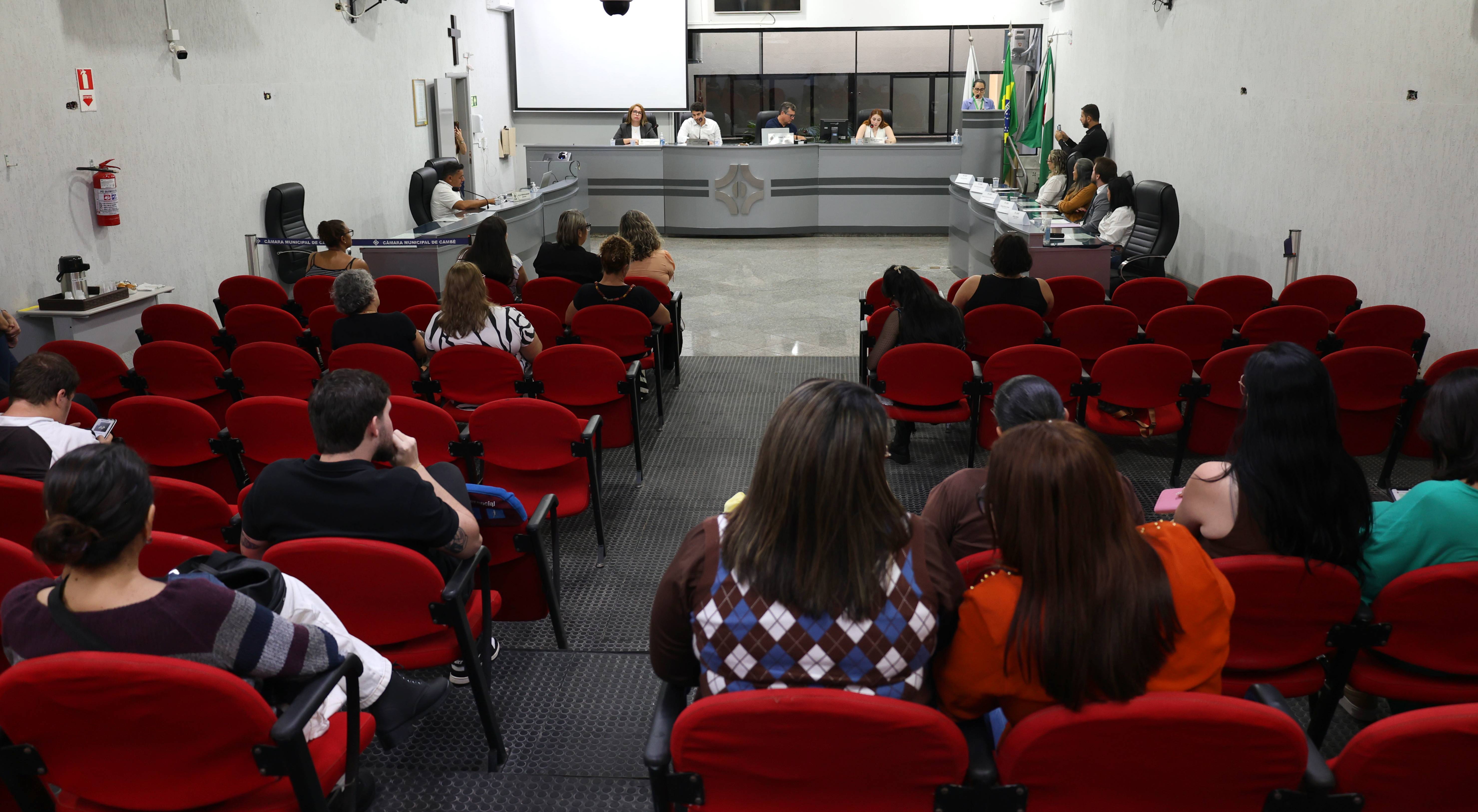 Câmara discute criação de carteira para pessoas com fibromialgia
