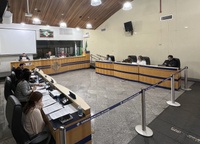 Câmara institui selo “Autista a Bordo” para veículos que transportam pessoas com TEA