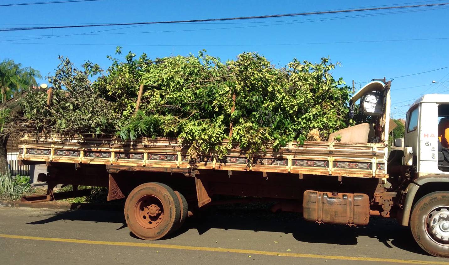 Coleta de móveis e galhos gera cobranças na Câmara Municipal