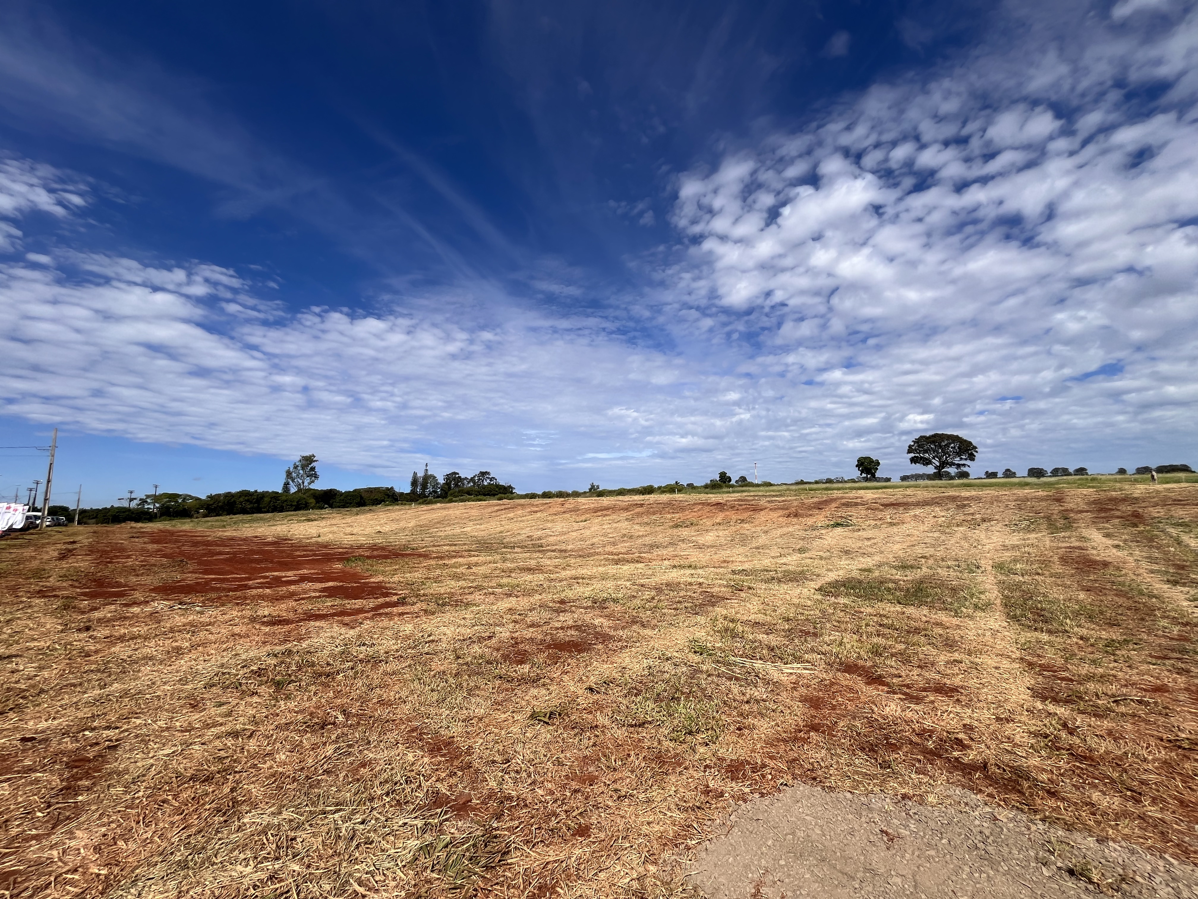 Construção do campus de Cambé do IFPR tem ordem de serviço assinada