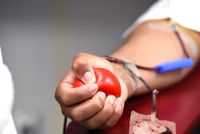 Doadores de sangue poderão ter isenção na taxa de inscrição de concursos em Cambé