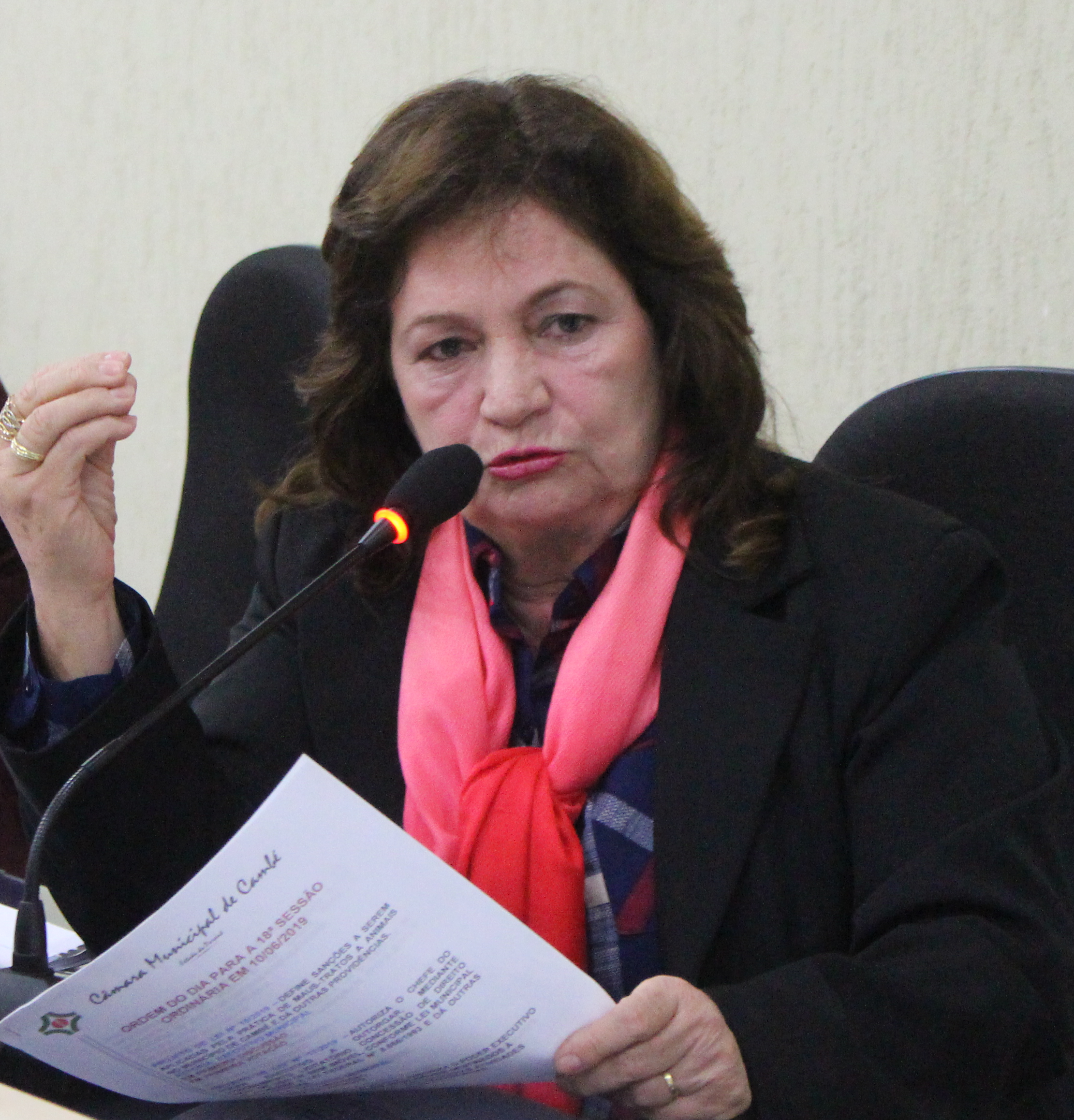 Morte de criança por dengue alerta a Saúde do Paraná.  E Cambé enfrenta epidemia com 789 casos confirmados