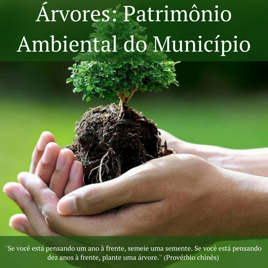 Vereador José Luis Dalto faz trabalho de conscientização ambiental nas redes sociais para chamar a atenção de munícipes