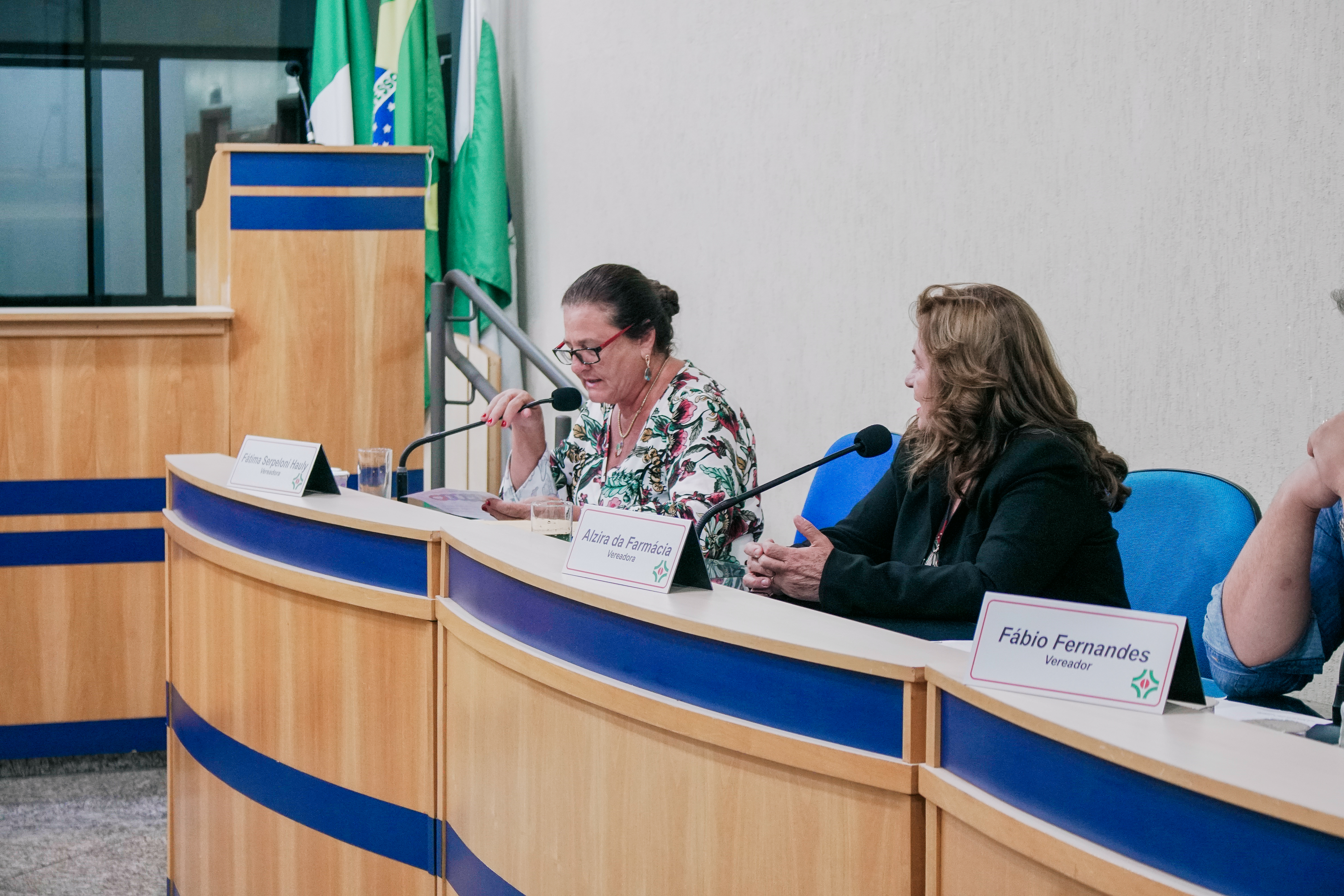 Vereadora Fátima Serpeloni Hauly solicita cobertura de quadra esportiva