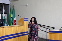 Na Câmara, Conselho de Igualdade Racial apresenta dados e propostas para fortalecer ações