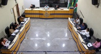 Vereadores cobram poda de árvores, recape asfáltico e limpeza de bueiros